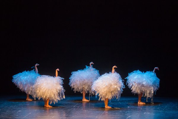 Continuidad de las cajeras.jpg AVESTRUCES TODAS. Michael Galvez - la llave maestra Teatro.jpg