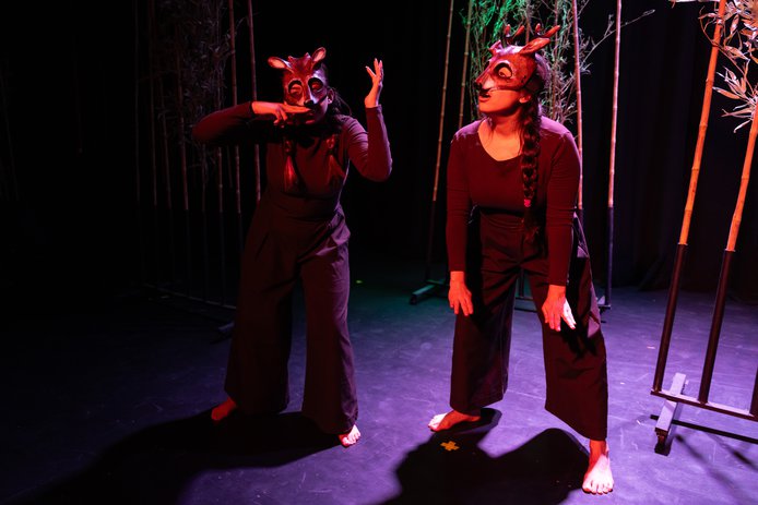 © Nicolás Calderón