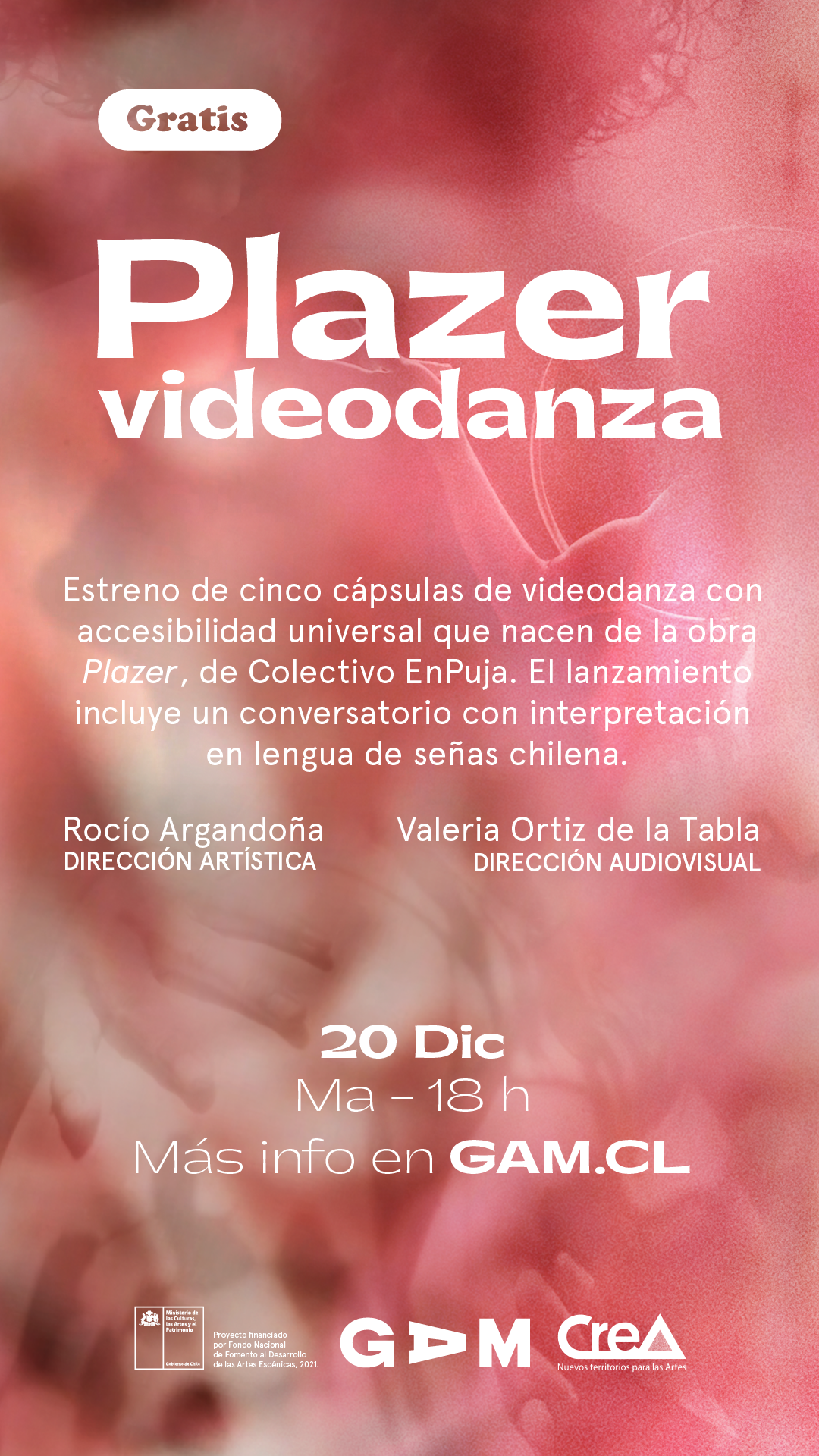 Imagen de fondo en color rosado con sombras y siluetas difusas de les intérpretes del video danza PlaZer. En la parte superior izquierda dice gratis. A continuación el centro con letras blancas dice: Plazer videodanza