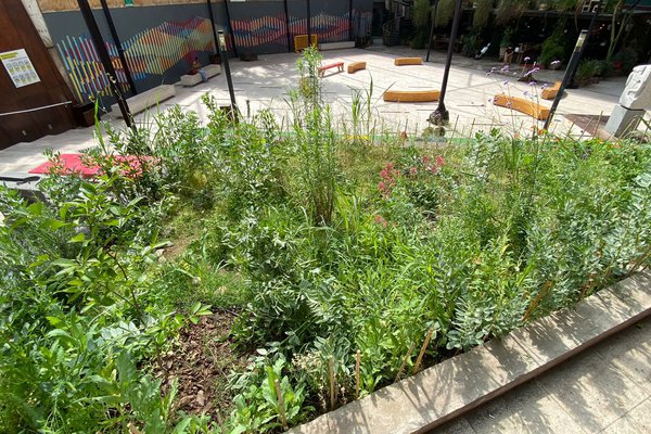  WhatsApp Image 2023-12-06 at 15.43.59.jpeg