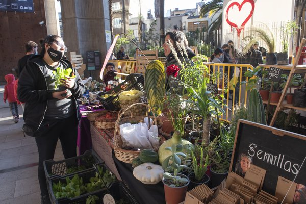  feria-medioambiente (2).jpg