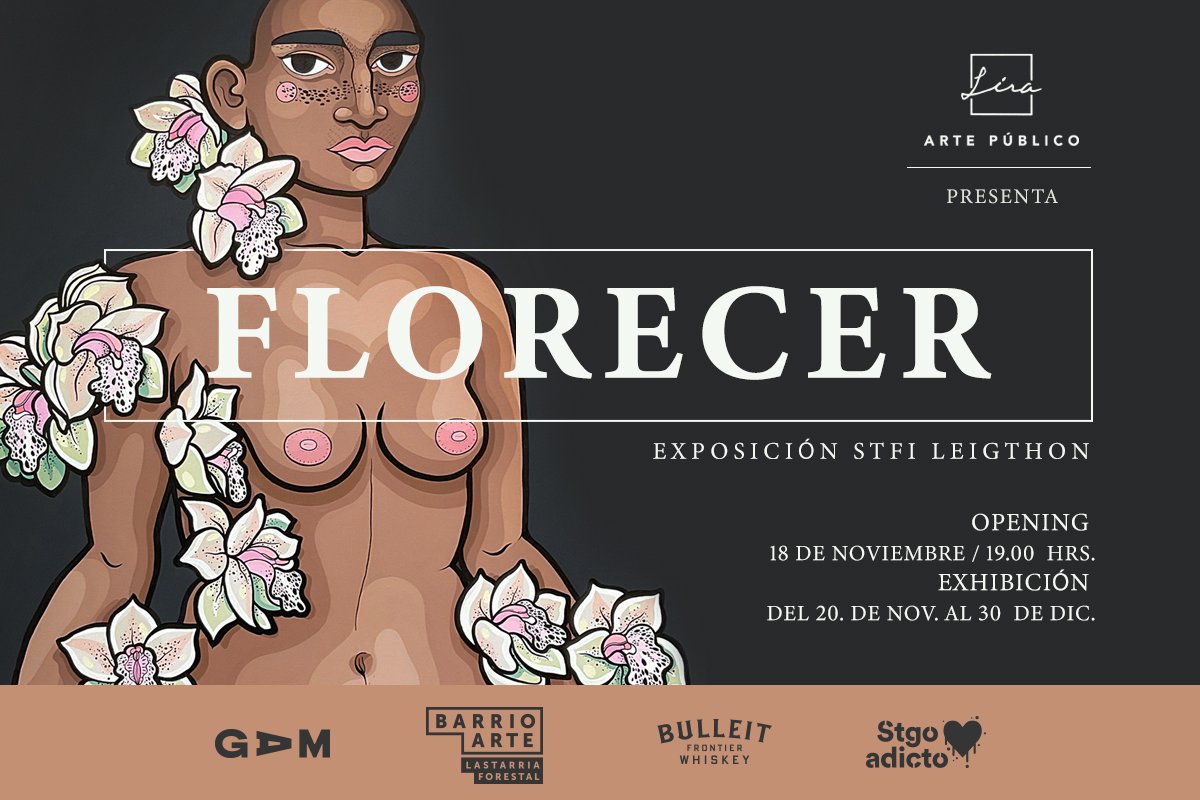 formato_800x1200_stfi (1).jpg