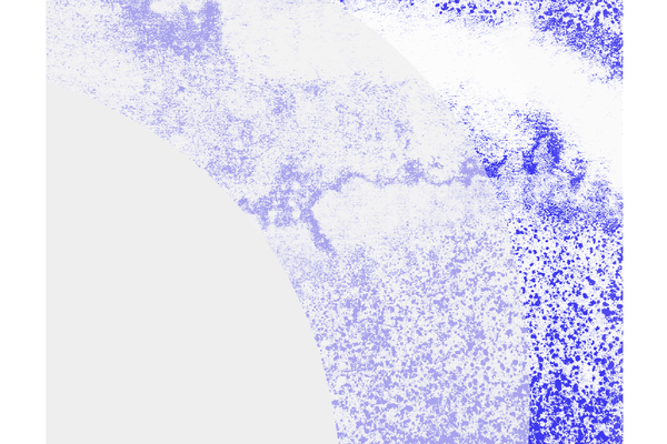 cueca_DSC9239.jpg foto bienal.png